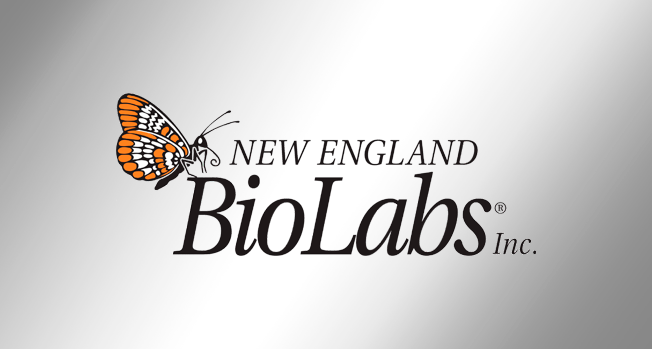 England biolabs